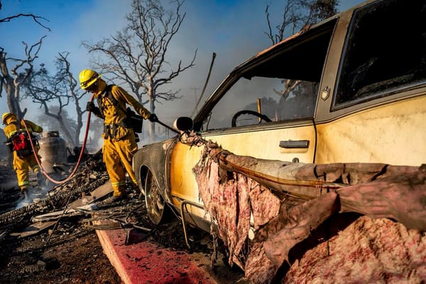 Thousands Evacuate as Wildfires Rage Outside Los Angeles and Reno, Nevada: Peace Network Steps In with Aid and Innovation